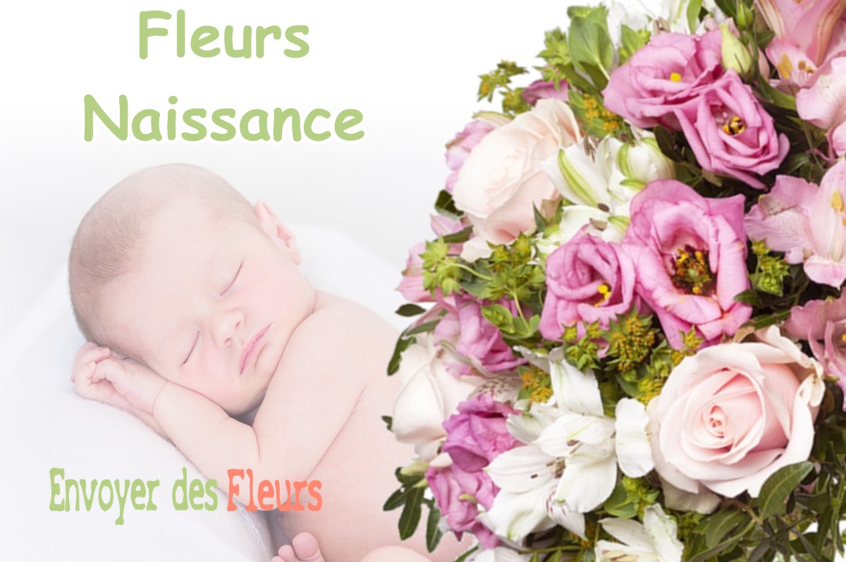 lIVRAISON FLEURS NAISSANCE à MAYLIS